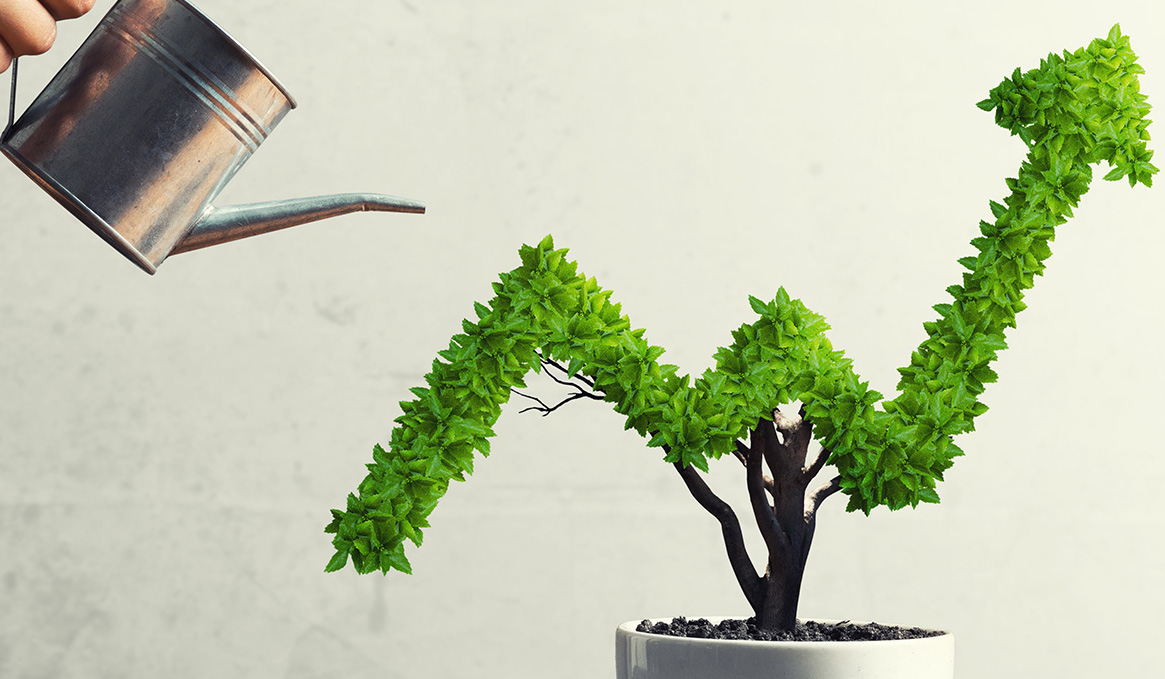 Agency MVP Contact Page EverQuote Pro